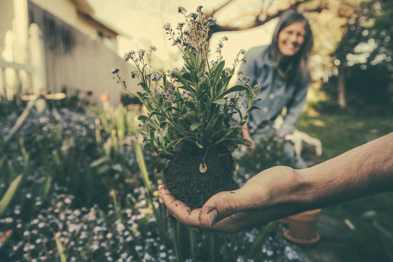 Devenir écologique pour protéger les générations futures